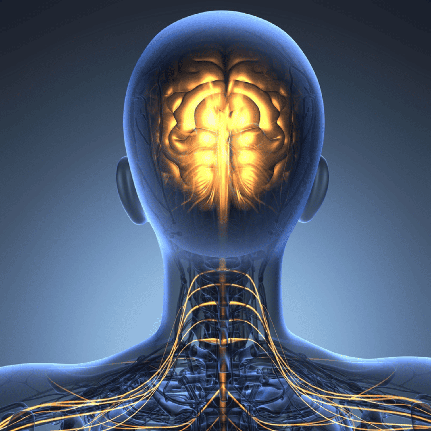 Los 10 neurólogos mejor valorados del mundo: últimas clasificaciones por pacientes