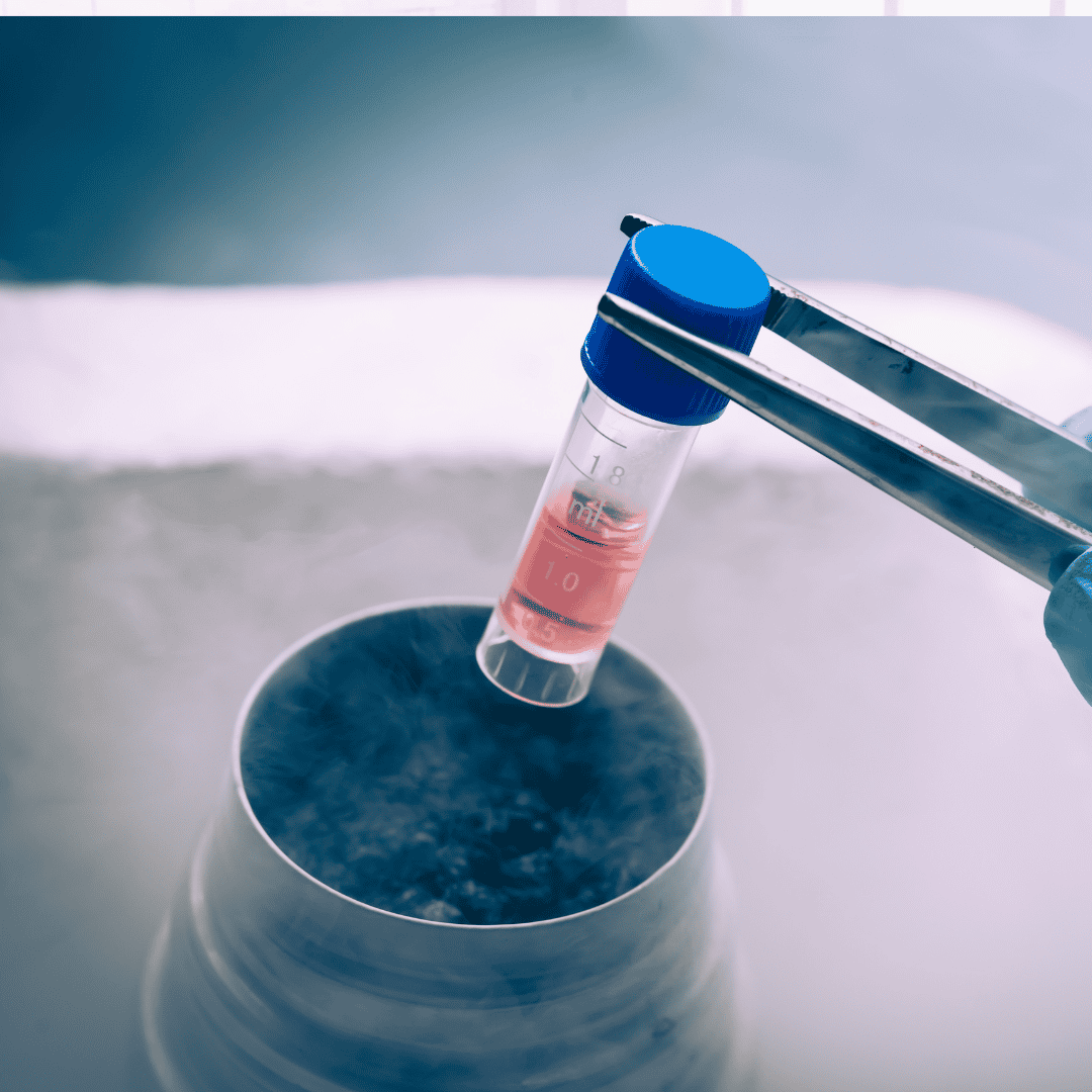 Terapia innovadora con células madre para enfermedades autoinmunes en el Centro Médico Integra en Nuevo Progreso, México