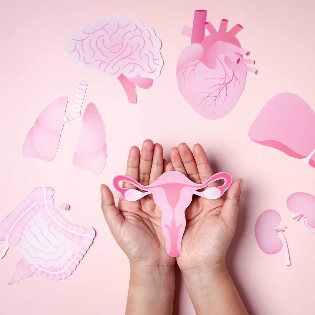 انخفاض احتياطي المبيض: دليل مفصل لفهم وإدارة الخصوبة