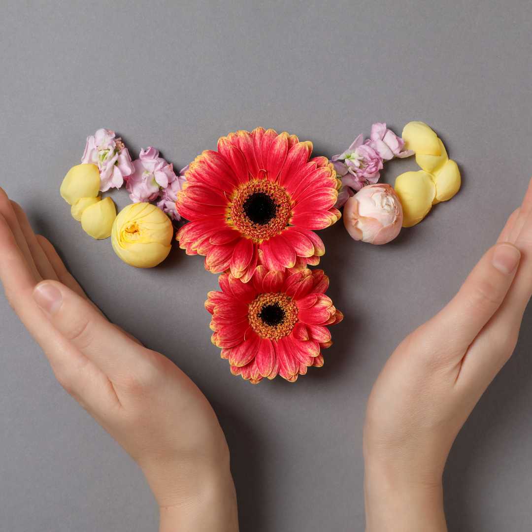 اختبار AMH: فهم الهرمون المضاد لمولر ودوره