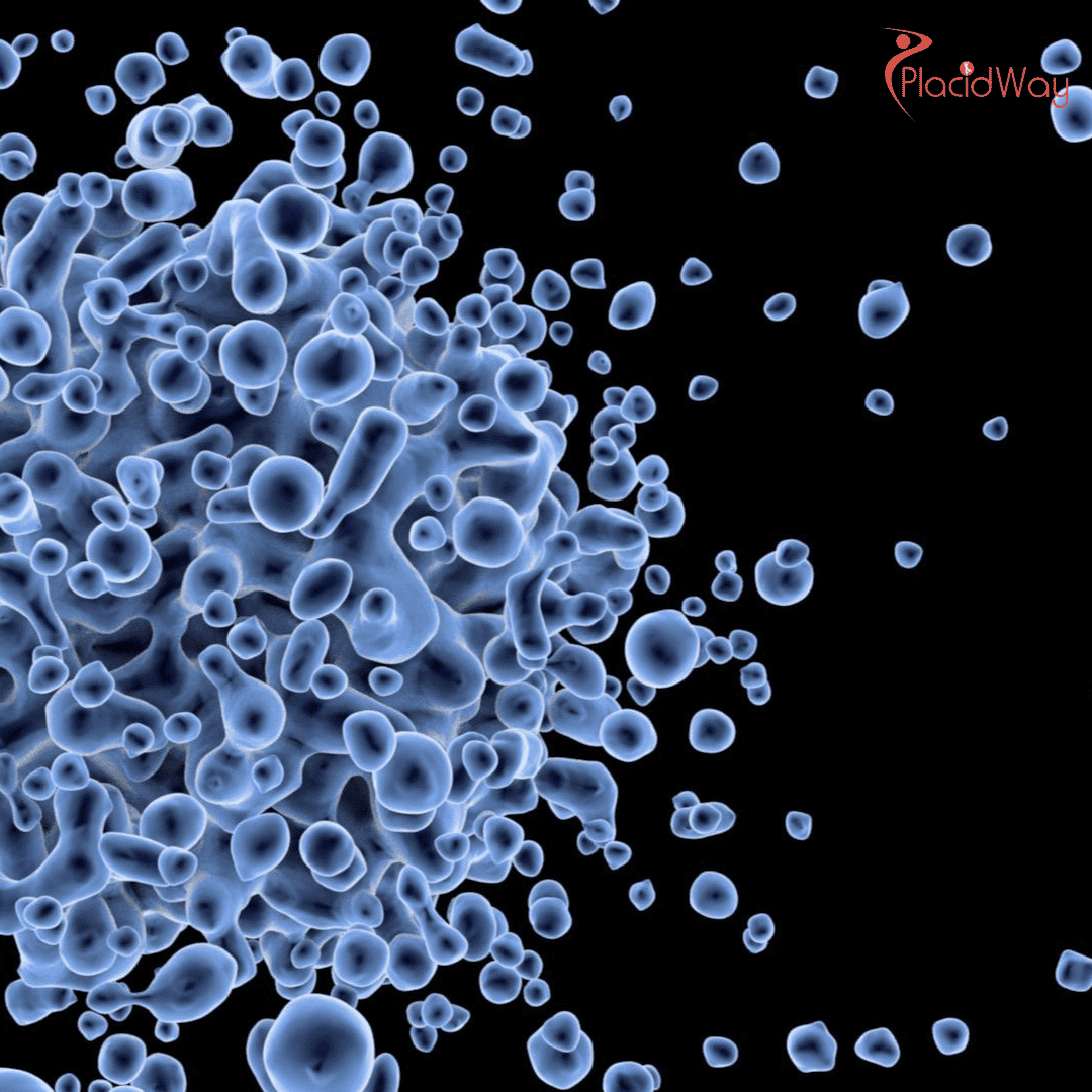 Why CAR T-Cell Therapy is Gaining Attention for Autoimmune Diseases