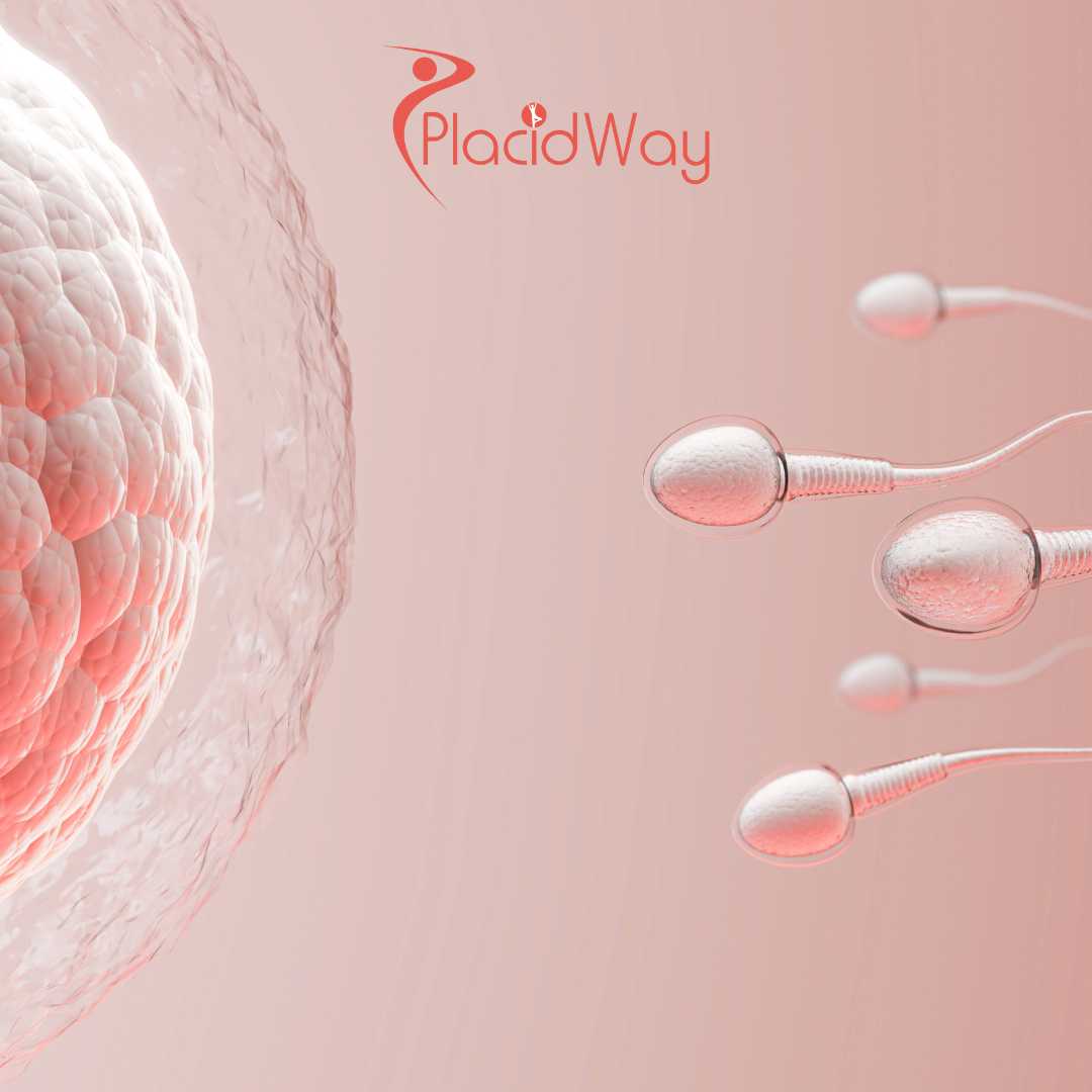 Fertility Treatment in Turkey for New York City Patients