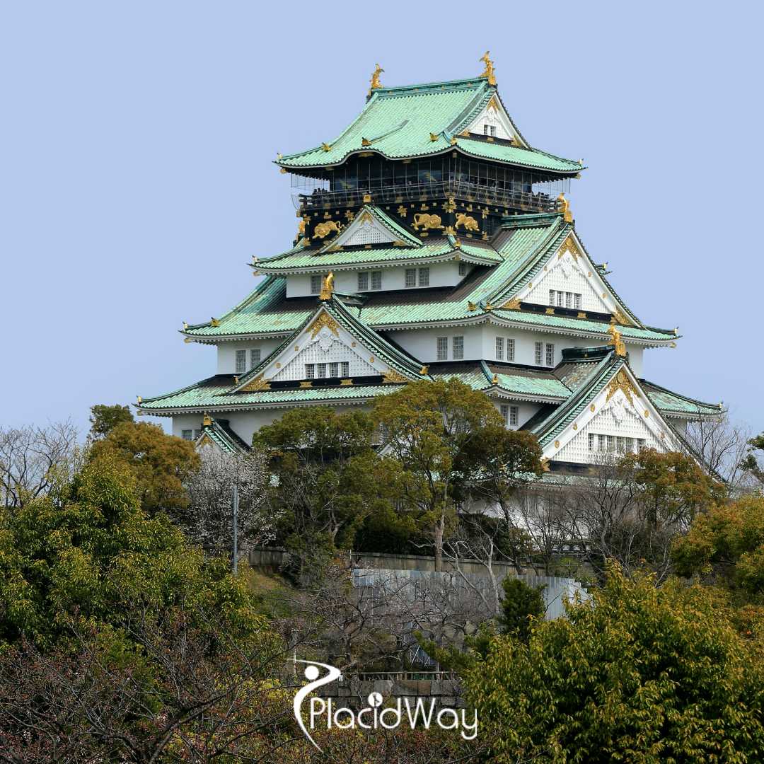 Osaka Set to Lead as the Premier Hub for International Patients Seeking Bio-Regulated Stem Cell Treatments for Chronic Conditions