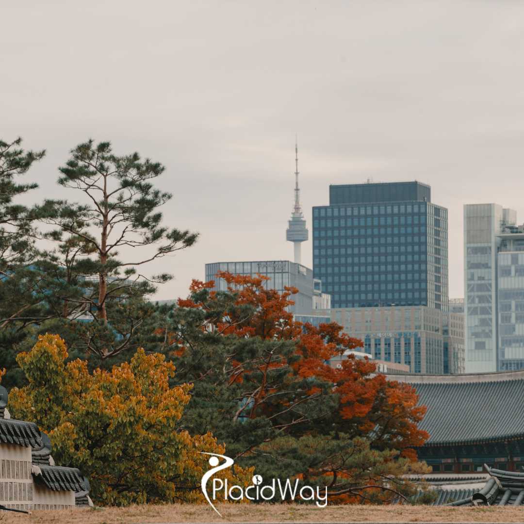 Why Gangnam South Korea Is the Undisputed Global Hub for Medical Tourism