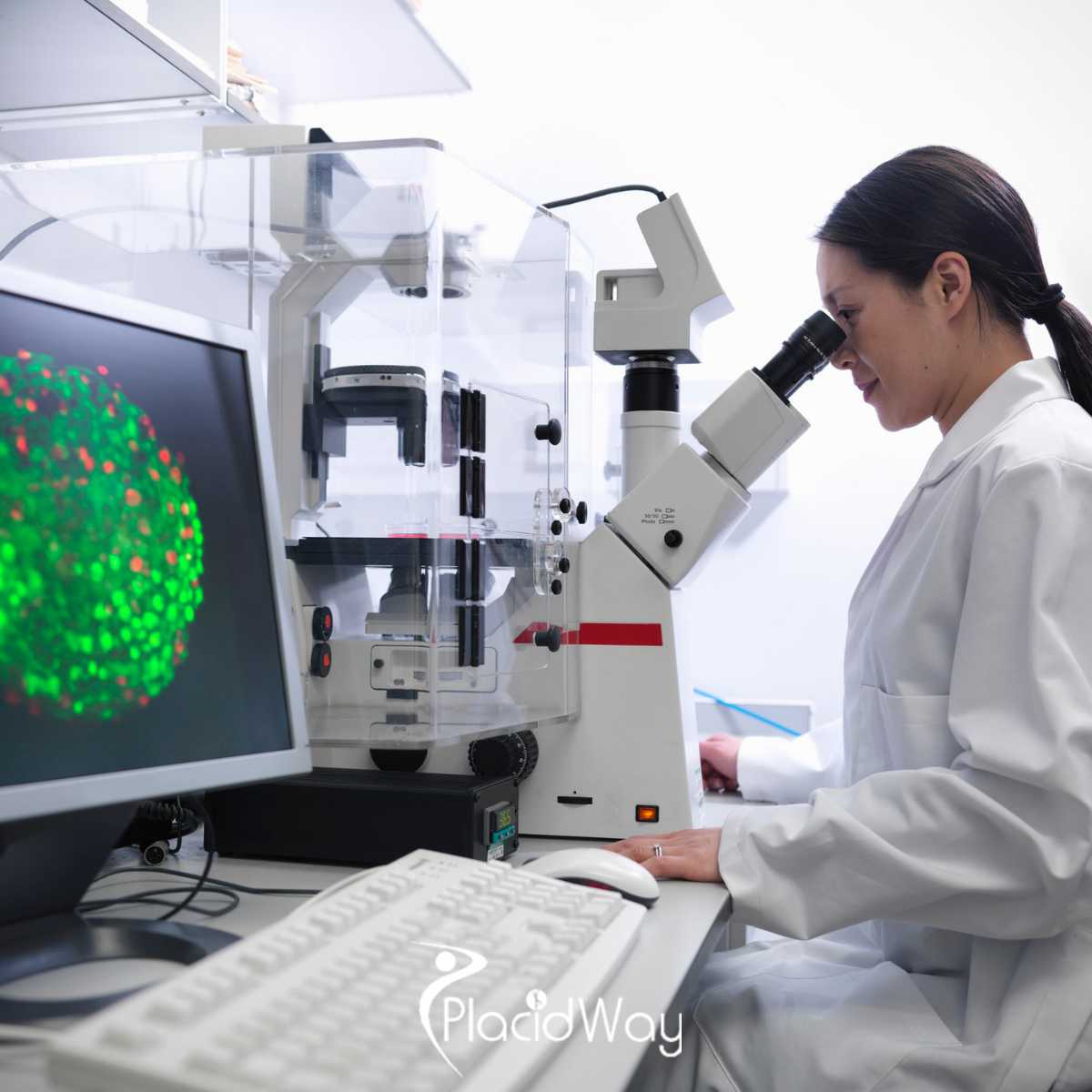 6 Cheapest Countries for Stem Cell Treatment