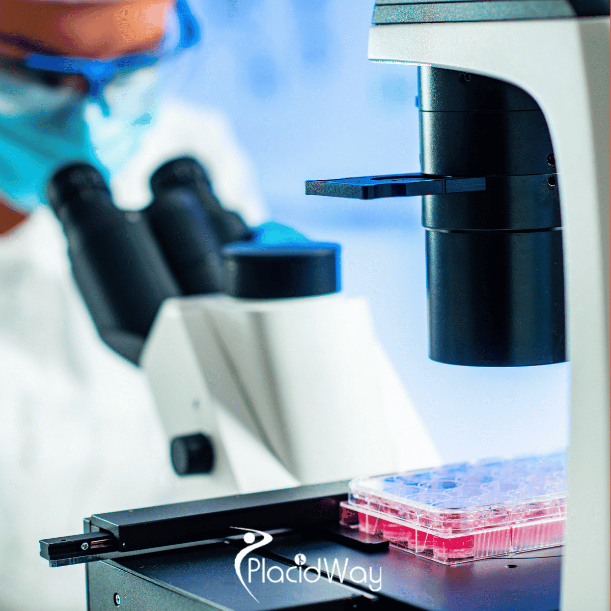 Stammzellbehandlung in Deutschland