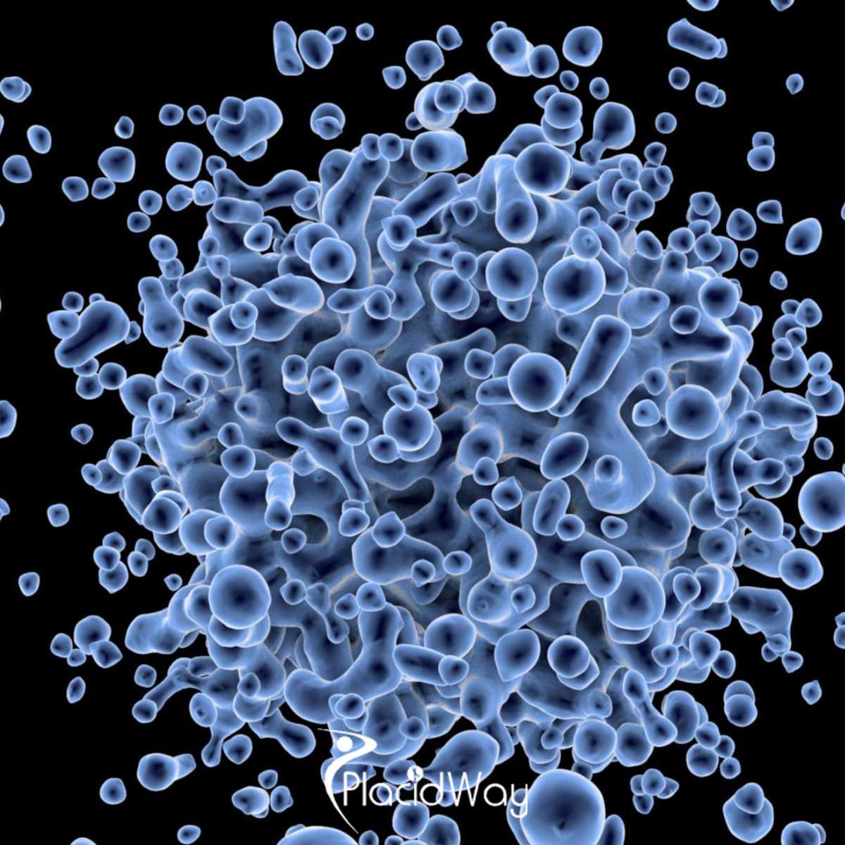 Affordable Stem Cell Therapy in Mexico 