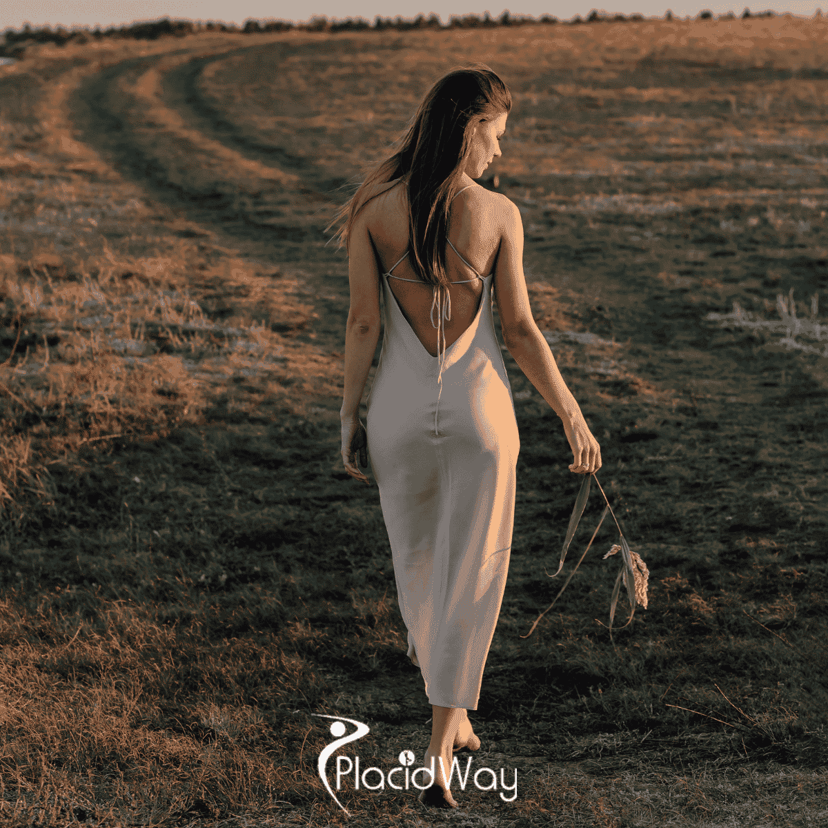 Liposuction in Mexico: An Affordable Option for Canadian Body Sculpting