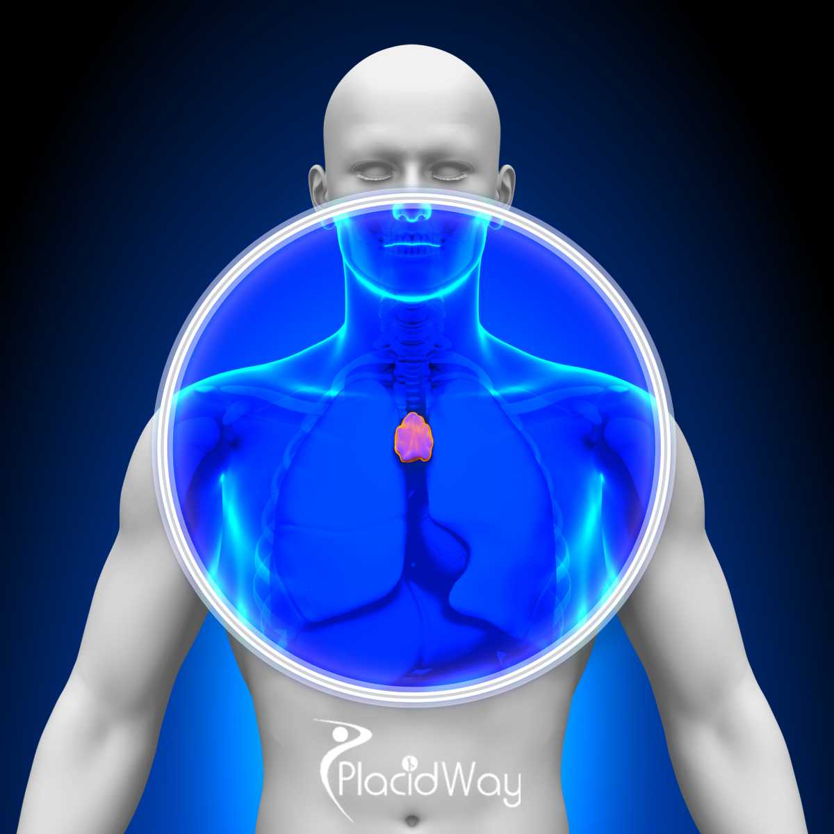 What You Should Know About Thymus Cancer and Its Treatments 