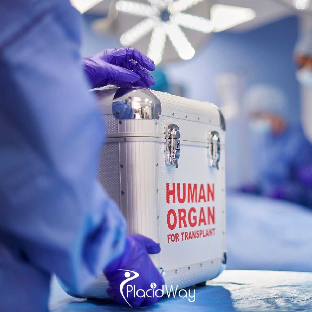 Navigating Organ Transplant in Istanbul, Turkey: Legalities, Costs, and Patient Safety
