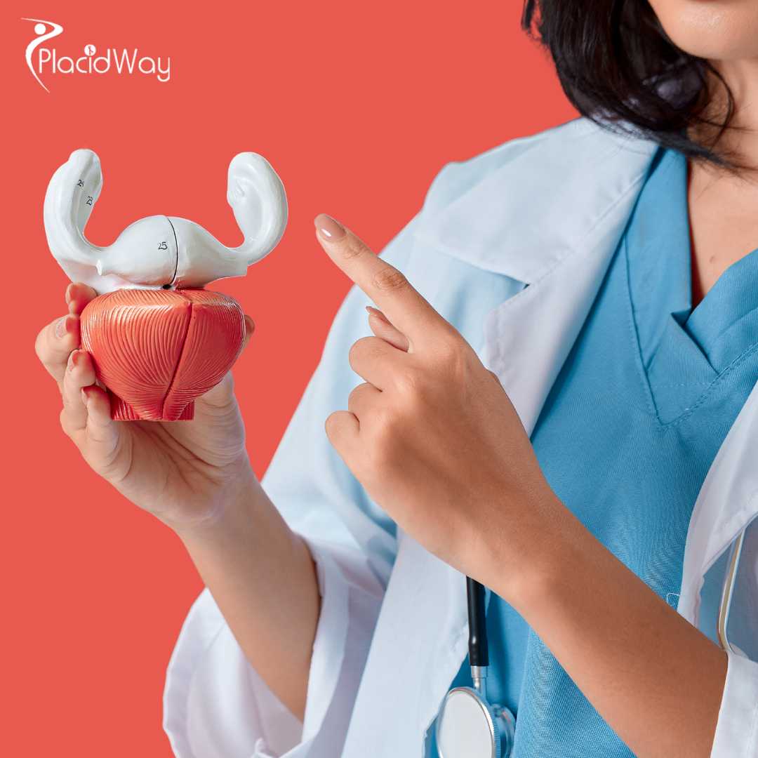 Liver Transplant in Istanbul, Turkey