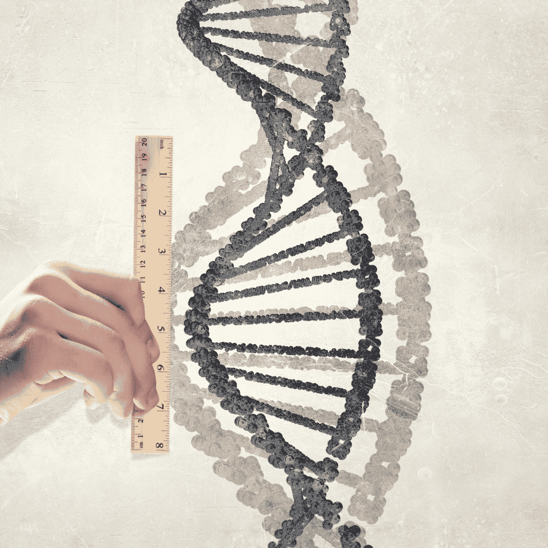 Stem Cell Therapy for Muscular Dystrophy Package in Middle East Australasia