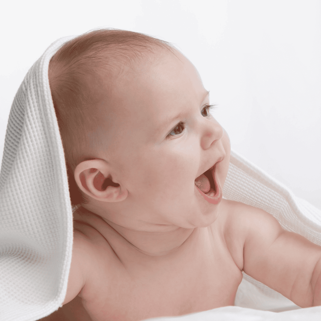 باقة التلقيح الصناعي مع التبرع بالبويضات في باكو، أذربيجان، من مستشفى ليف بونا ديا