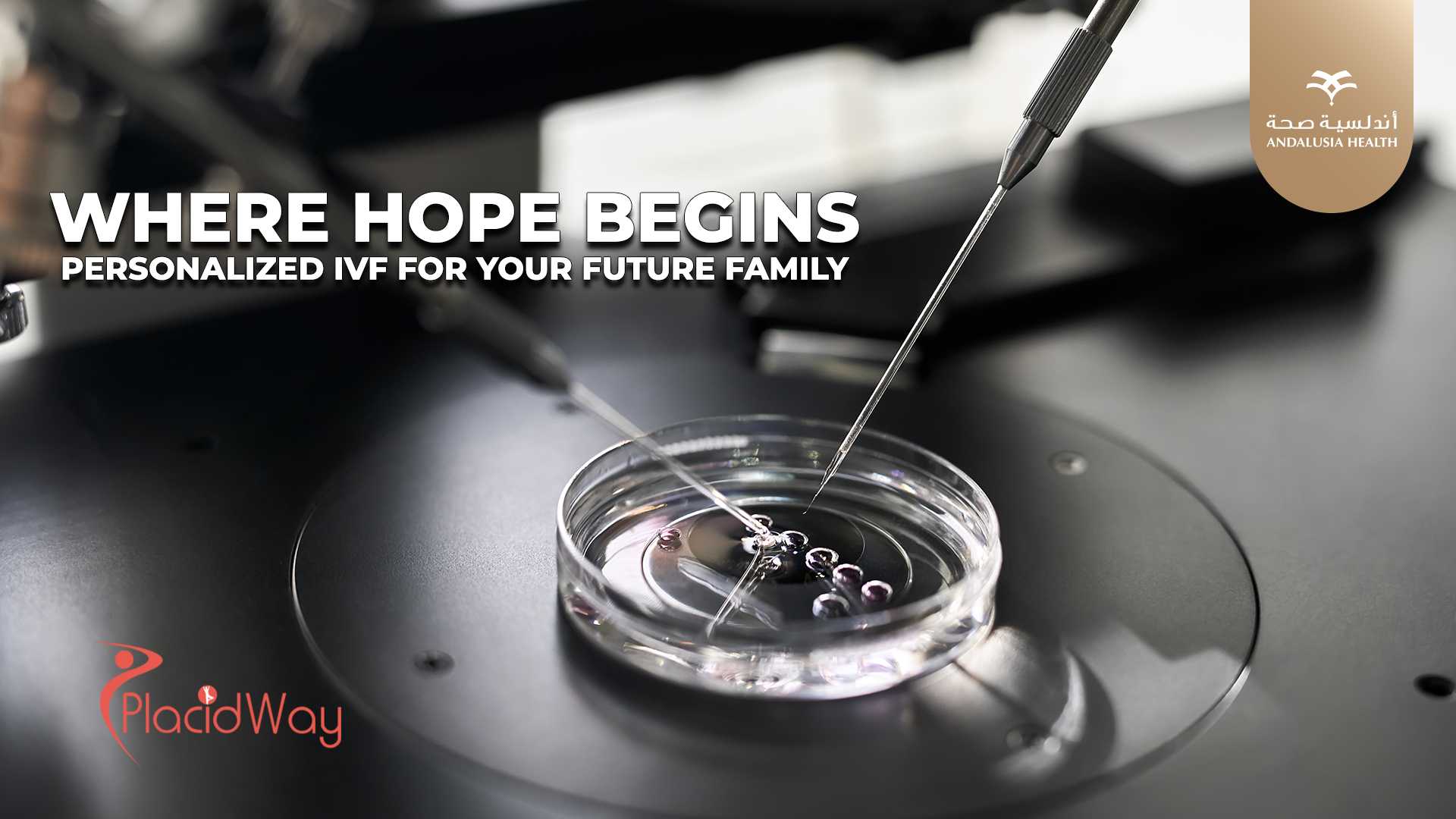 IVF with Gender Selection Package at Andalusia Health Group, Cairo, Egypt