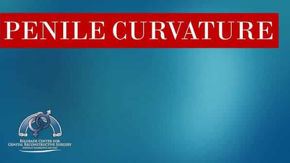 Surgical penile straightening