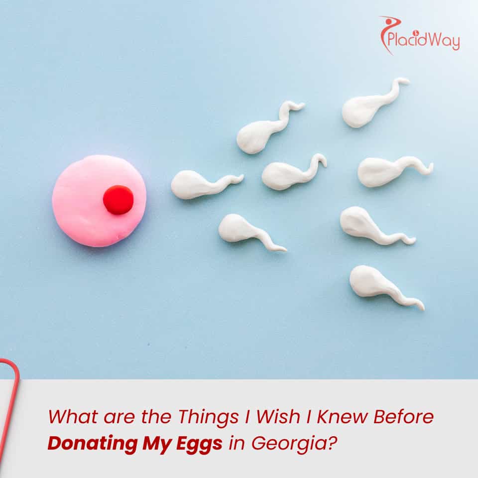 What are the Things I Wish I Knew Before Donating My Eggs in Georgia?