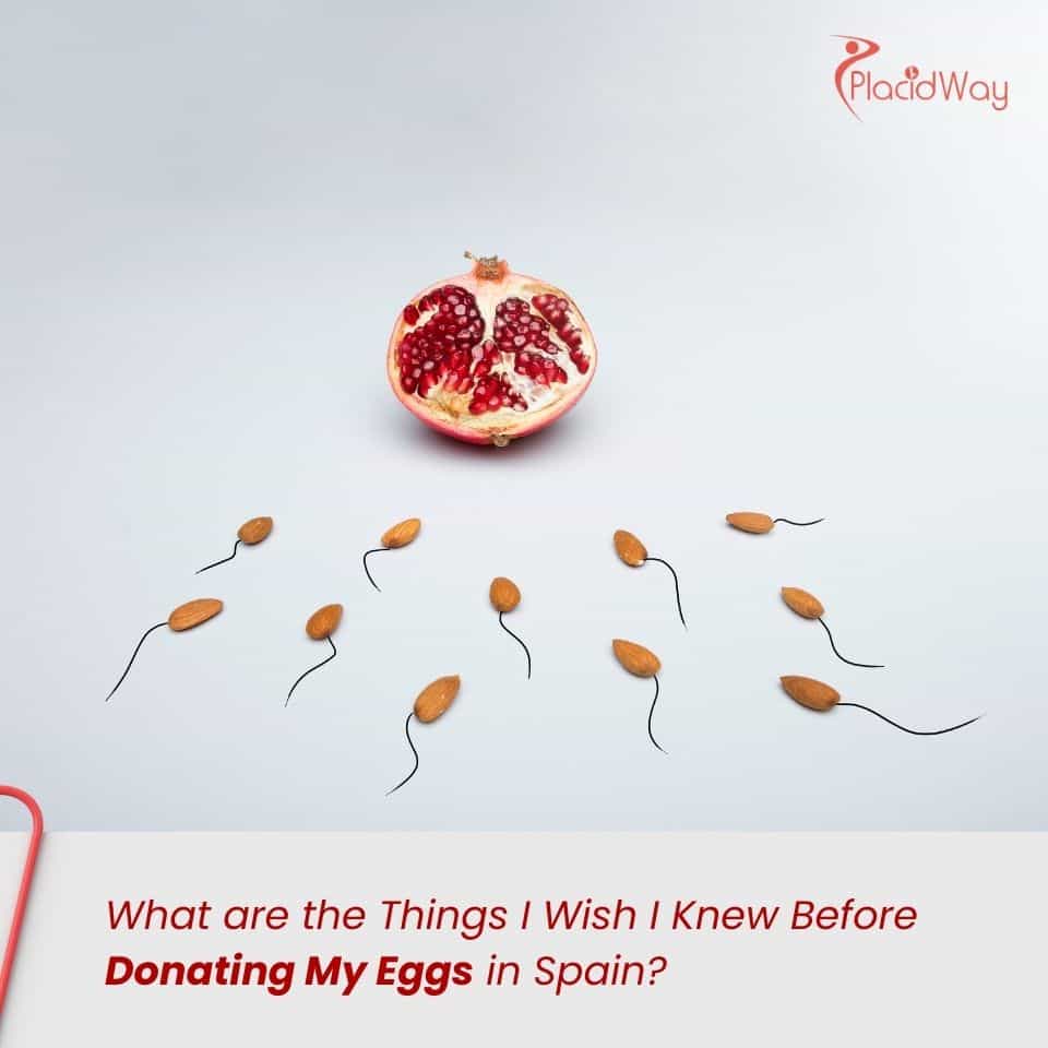 What are the Things I Wish I Knew Before Donating My Eggs in Spain?