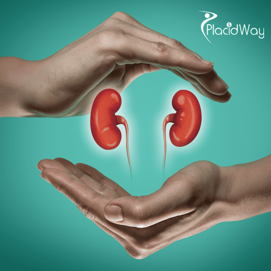 Why Are the Best Kidney Transplant Doctors in Turkey Renowned for Their Expertise?