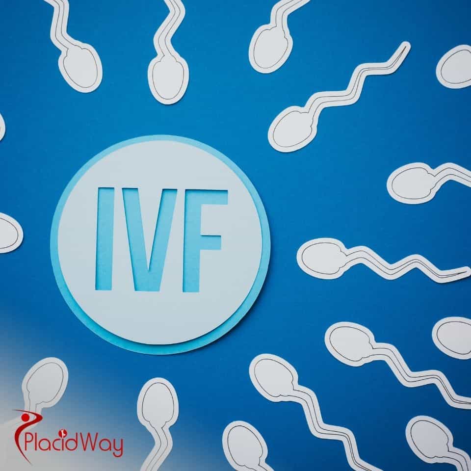 What are the top 10 IVF clinics in Spain?