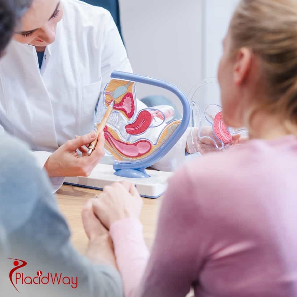 What Infertility Treatment Choices Are Available For Couples In Sharjah?