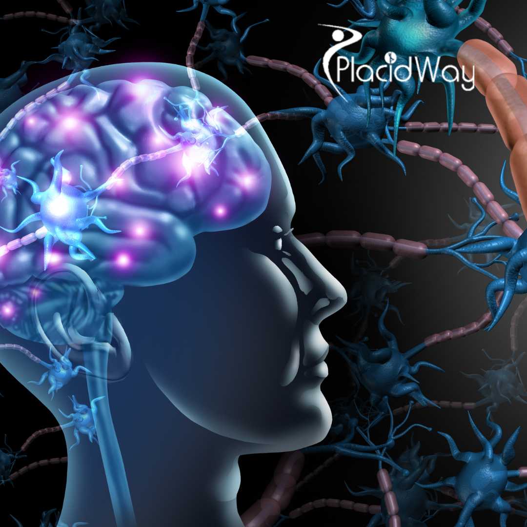 Can Foreigners Get NK Cell Therapy In Japan?