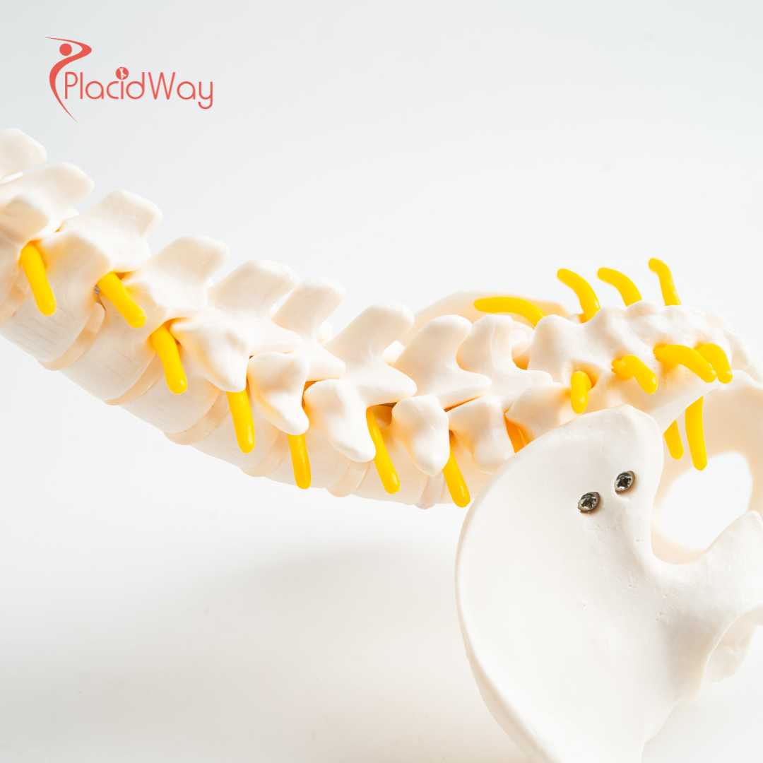 Can Stem Cell Therapy In Thailand Help Reverse Degenerative Disc Disease?