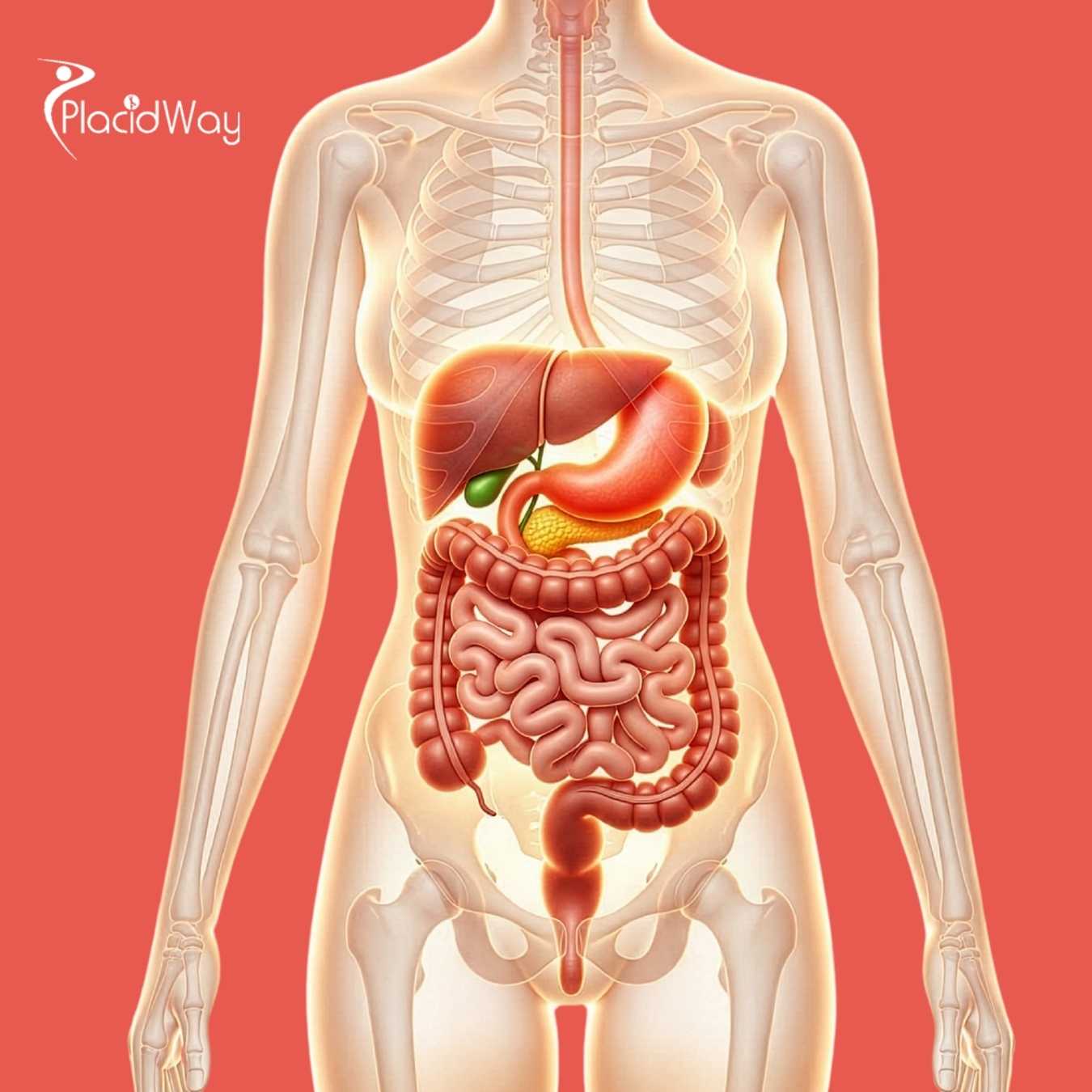 How Does Alternative Bile Duct Cancer Care in Mexico Compare to Canadian Standard Treatments?