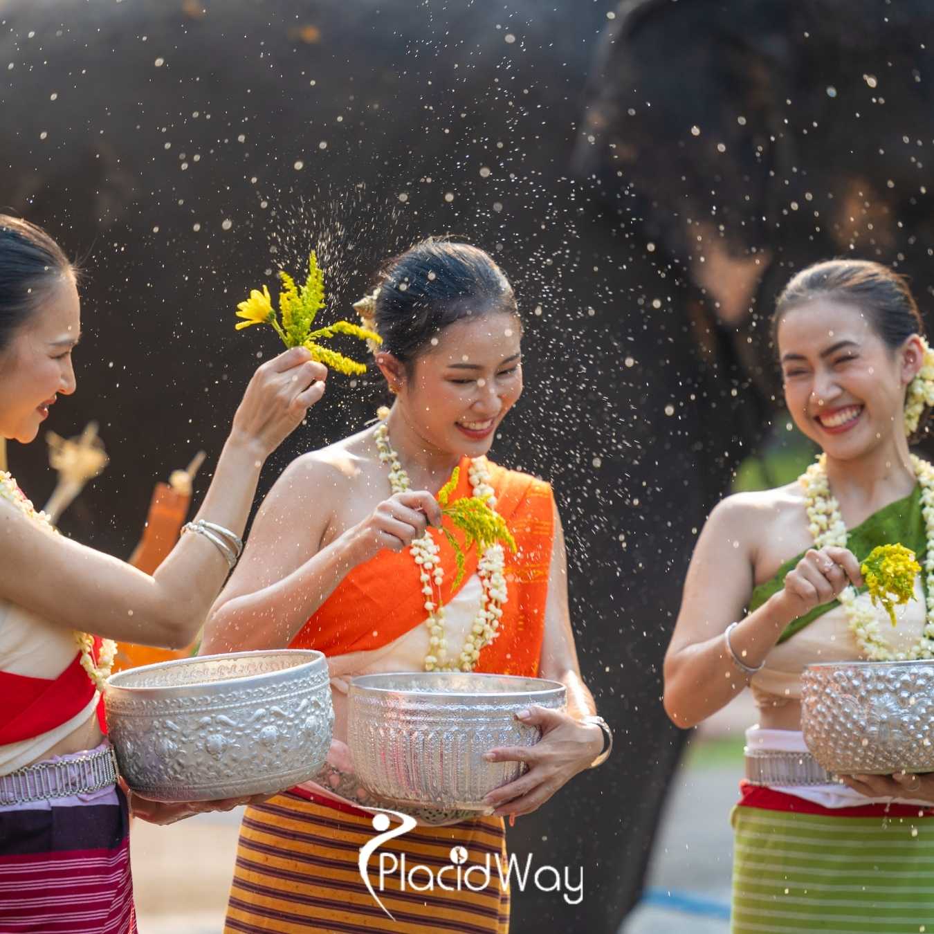 How Is Thailand Food as Medicine Initiative Transforming Traditional Healing into Evidence-Backed Wellness?