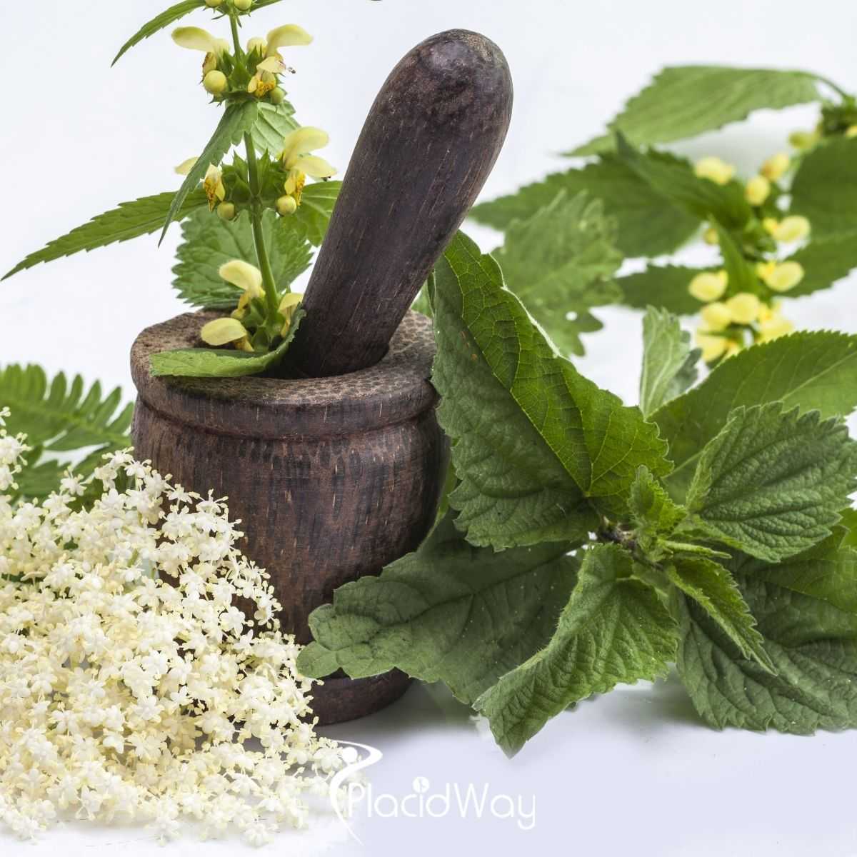Is Herbal Medicine Safe To Combine With Prescription Pharmaceuticals and Chemotherapy?