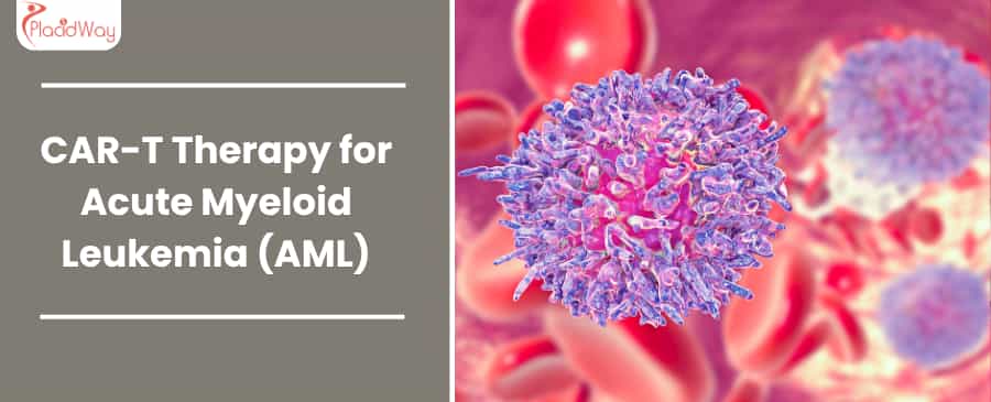 Car T Therapy For Acute Myeloid Leukemia Aml