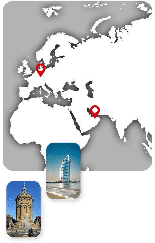 CellReg Institute Mannheim