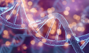 Dominican Republic Set to Emerge as the Top Stem Cell Destination for United States Athletes Seeking Joint Regeneration.