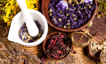 Herbal Treatment Medical Tourism