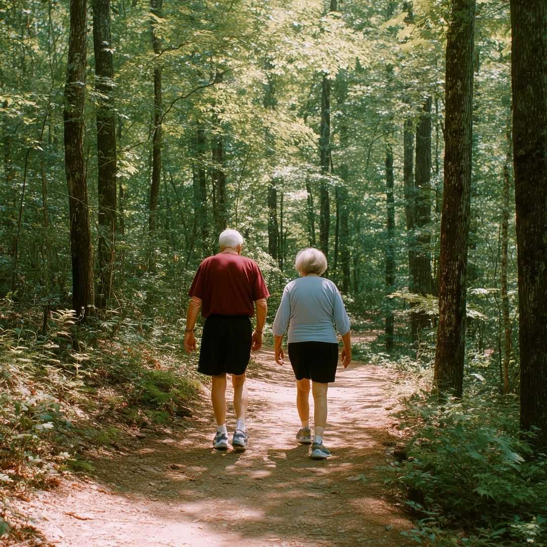 Forest Bathing & Nature Retreats Medical Tourism