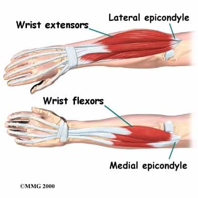 Elbow
