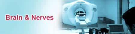 Services Manipal