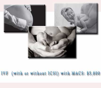 Pack  Image