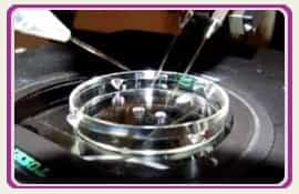 Pic Embryos Fertility Clinic