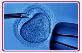 Pic Embryos Fertility Clinic