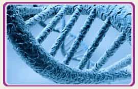 Pic Embryos Fertility Clinic