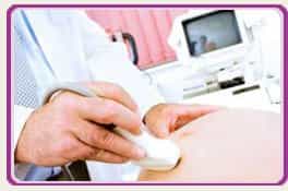 Para Pic Embryos Fertility Clinic