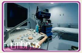 A  Pic Embryos Fertility Clinic