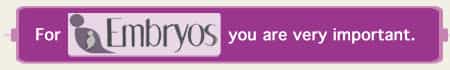 Bottom Banner English Embryos Fertility Clinic