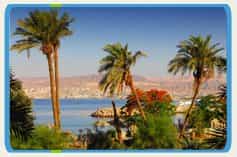 Dr Badran Base Picture