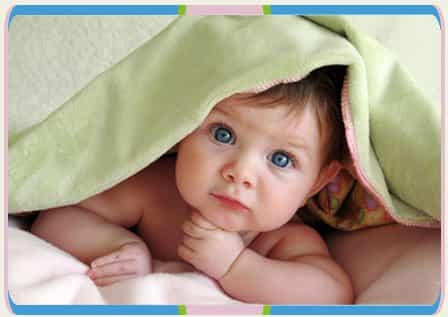 Dr Elham Othman Fertility Ivf Picture
