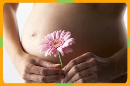 New Life India Content Image