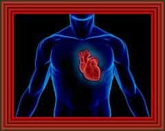 Heart-Failure-Prevention-Treatment