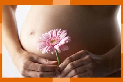 Fertility treatment in South Africa