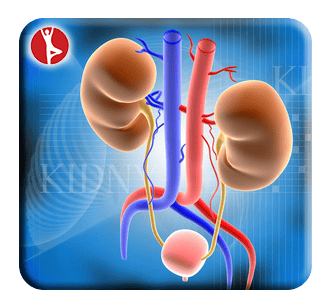 Kidney-Stones-Removal-Treatment-Laser