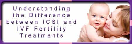 ICSI vs IVF Fertility Treatments What is the Difference